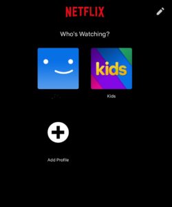 Netflix asks for the use case of the person who watches